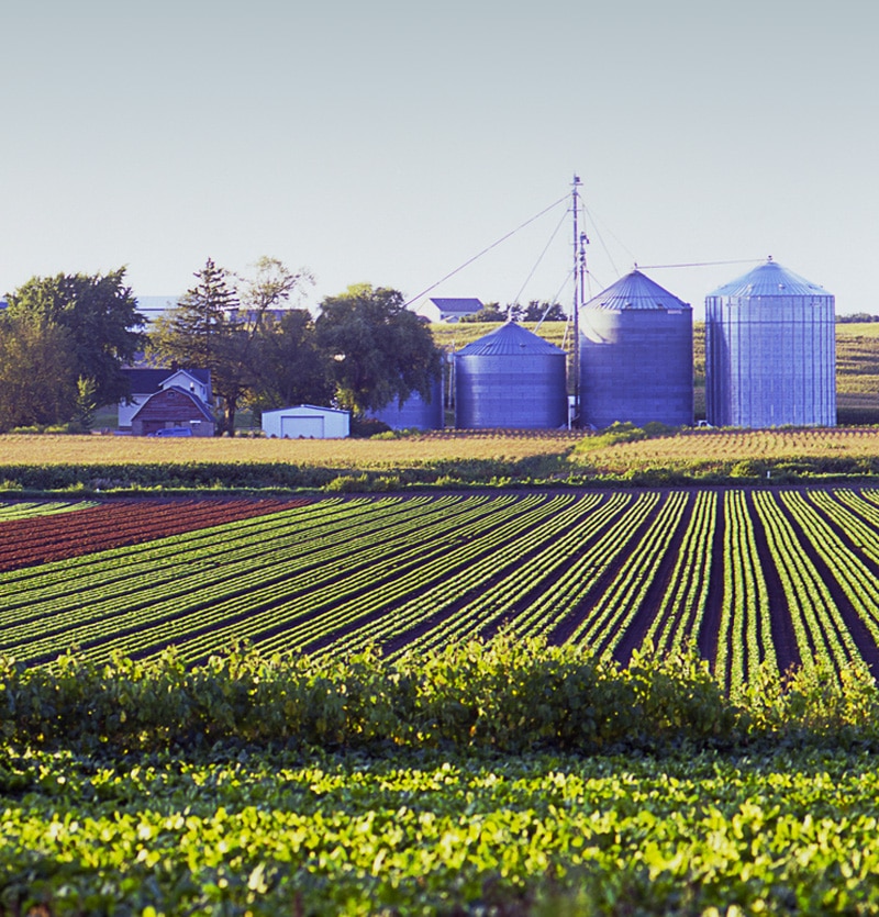 farmland clearing service
