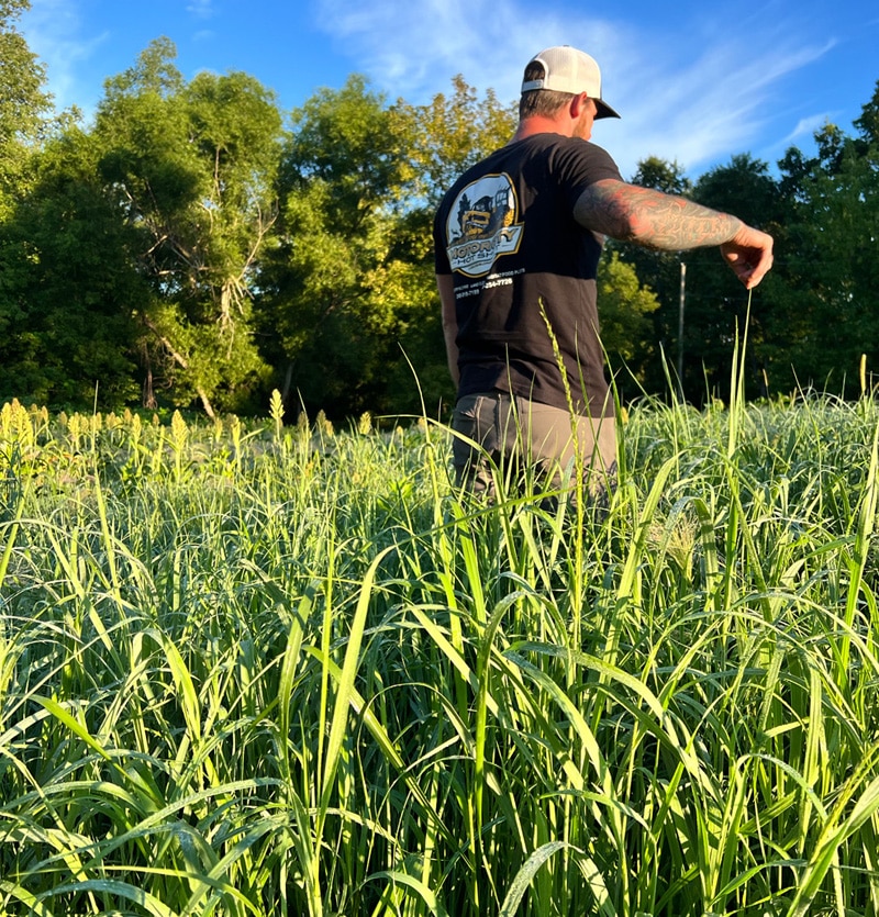 hunting food plots