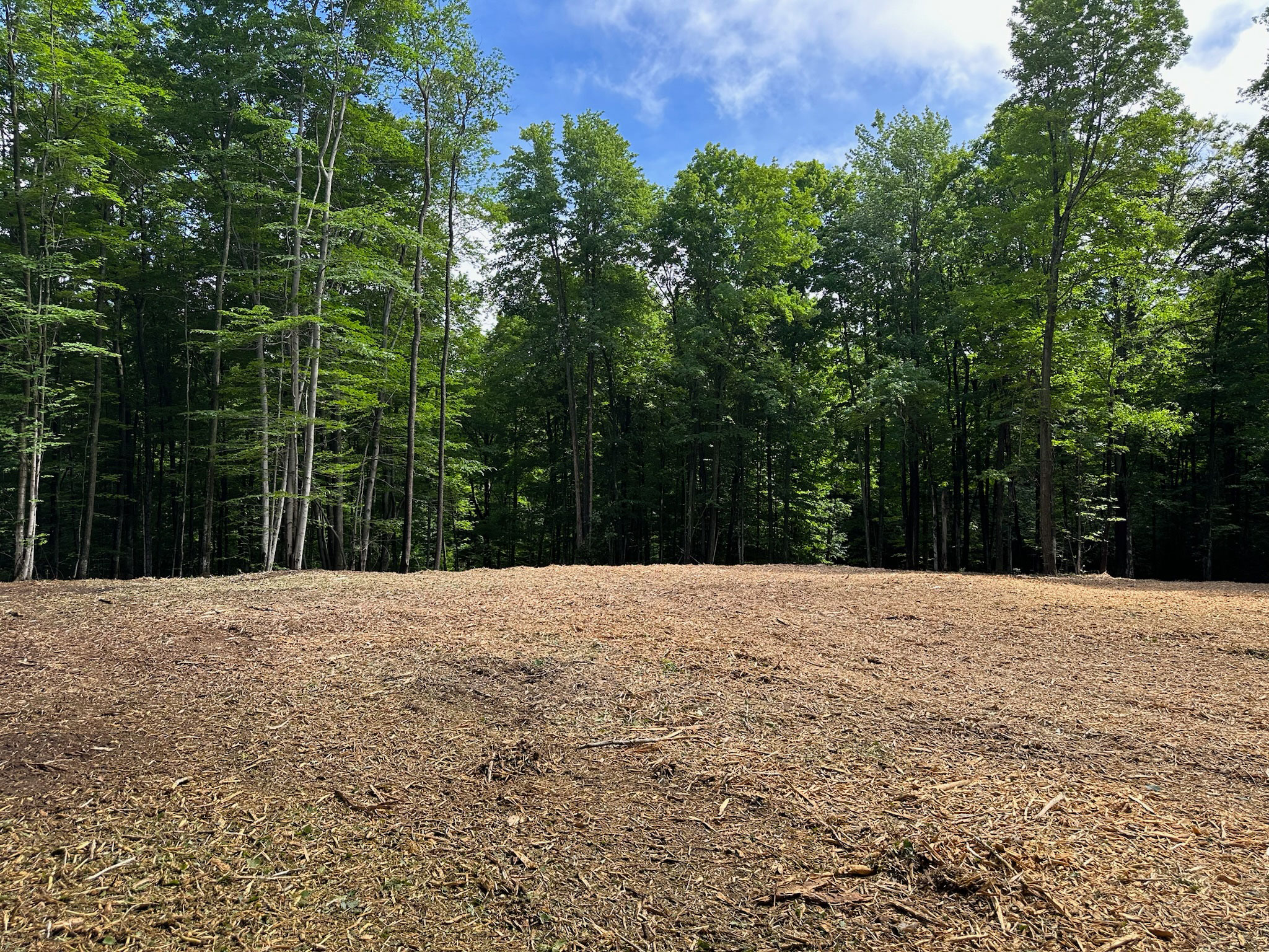 land clearing service