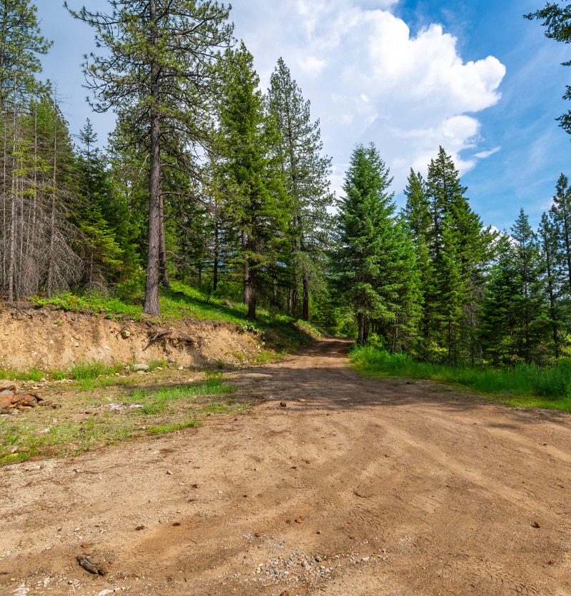 new home land clearing