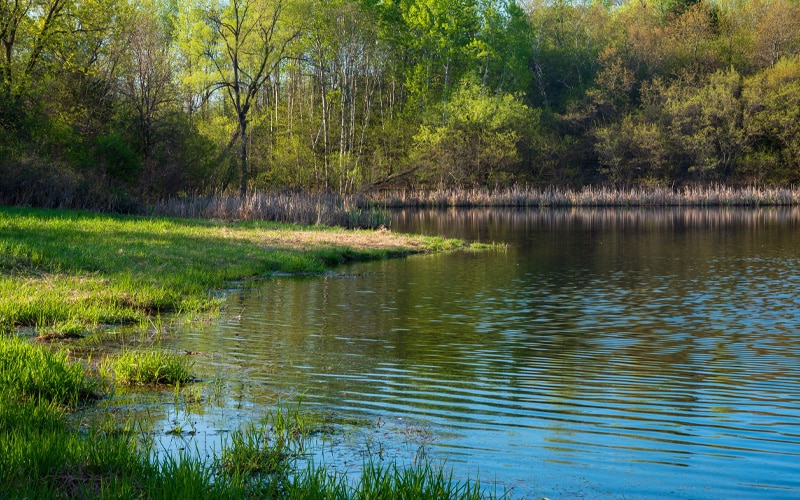 pond cleaning service in Michigan