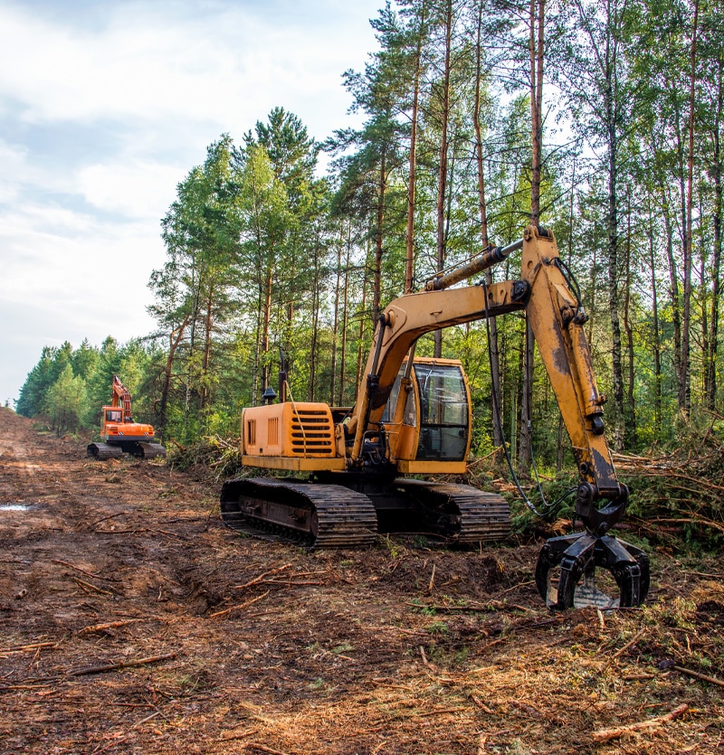 timber clearing service