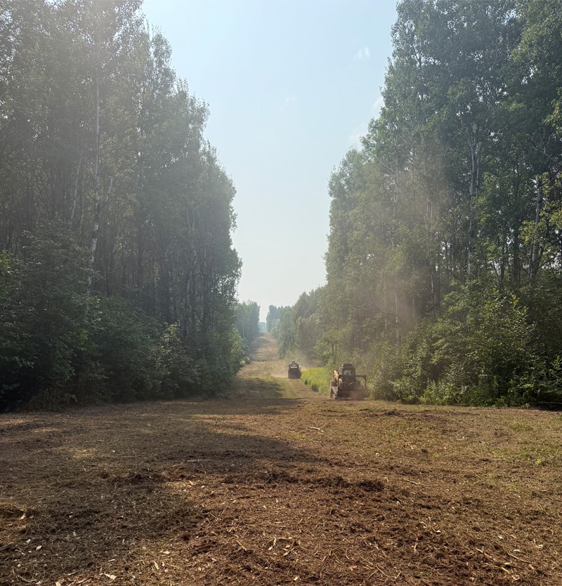 MotorCity Hot Shot - right of way land clearing
